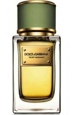 Dolce Gabbana Velvet Bergamot